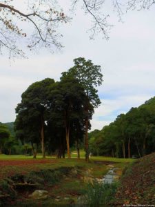 Amanecer en Izcaragua