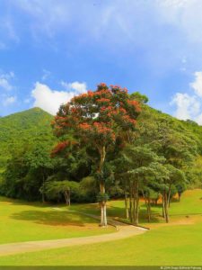 Amanecer en Izcaragua