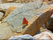 Amanecer en Izcaragua