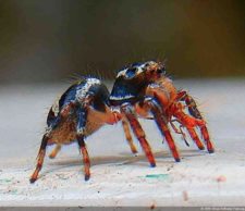 Amanecer en Izcaragua