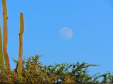 Antesala 1er Sambil Curaçao Open