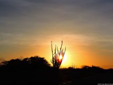 Antesala 1er Sambil Curaçao Open