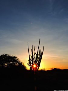 Antesala 1er Sambil Curaçao Open