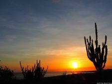 Antesala 1er Sambil Curaçao Open