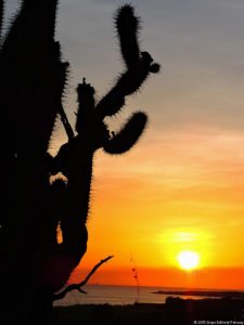 Antesala 1er Sambil Curaçao Open