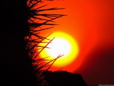 Antesala 1er Sambil Curaçao Open