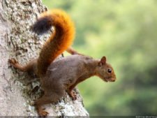 VI Campeonato Nacional Infantil (día 2)