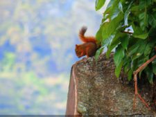 VI Campeonato Nacional Infantil (día 2)