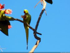 VI Campeonato Nacional Infantil (día 1)