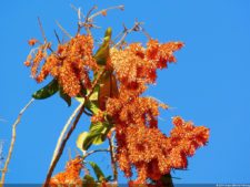 VI Campeonato Nacional Infantil (día 1)