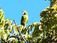 VI Campeonato Nacional Infantil (día 1)