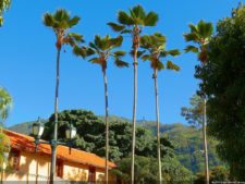 VI Campeonato Nacional Infantil (día 1)