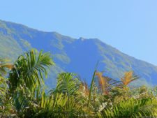 VI Campeonato Nacional Infantil (día 1)