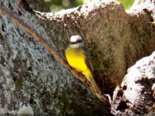 VI Campeonato Nacional Infantil (día 1)