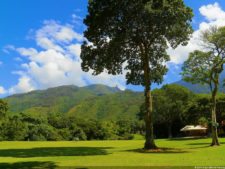 VI Campeonato Nacional Infantil (día 1)