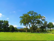 VI Campeonato Nacional Infantil (día 1)