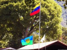 VI Campeonato Nacional Infantil (día 1)