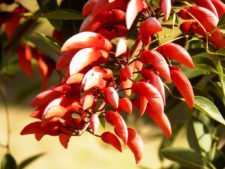 Cancha de Nordelta brilló en ProAm 108º Visa Open de Argentina