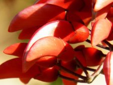 Cancha de Nordelta brilló en ProAm 108º Visa Open de Argentina