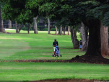 Clasificatorio Copa Los Andes 2016, selección viernes