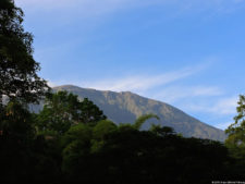 Clasificatorio Copa Los Andes 2016, selección viernes