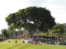 Las Imágenes de una Copa Sudamericana