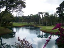 Copa Los Andes en su Esplendor