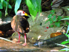 El Parque de Izcaragua