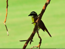 El Parque de Izcaragua