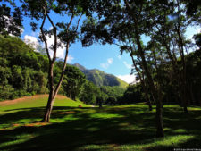 El Parque de Izcaragua