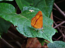 El Parque de Izcaragua