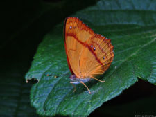 El Parque de Izcaragua