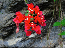 El Parque de Izcaragua