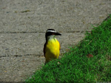 El Parque de Izcaragua