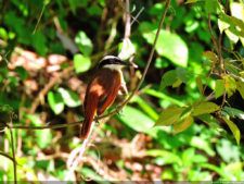 El Parque de Izcaragua