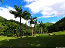 El Parque de Izcaragua