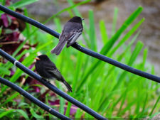 El Parque de Izcaragua