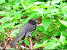 El Parque de Izcaragua