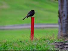 El Parque de Izcaragua