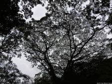 El Parque de Izcaragua