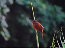 El Parque de Izcaragua
