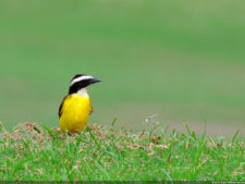 El Parque de Izcaragua