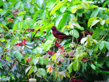 El Parque de Izcaragua