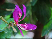 El Parque de Izcaragua