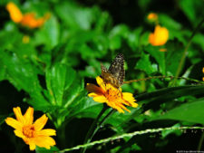 El Parque de Izcaragua