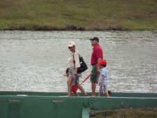 Fauna Viviente y Reluciente