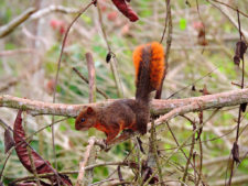 Final 32º Abierto de Venezuela Copa DIRECTV