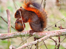 Final 32º Abierto de Venezuela Copa DIRECTV