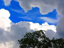 Final 32º Abierto de Venezuela Copa DIRECTV