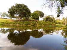 Galerías del Panamá Claro